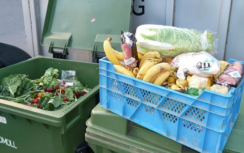 20 to 50 percent of the food we buy ends up being wasted